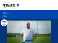pestalozzi-haustechnik.ch Webseite Vorschau