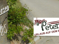 petersenschuby.de Webseite Vorschau