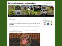 weimaraner-kestenbusch.de Webseite Vorschau