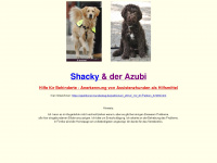 shacky.de Webseite Vorschau