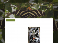 petras-papillons.de Webseite Vorschau