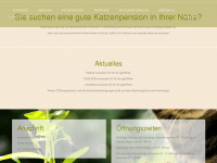 petraskatzenparadies.de Webseite Vorschau