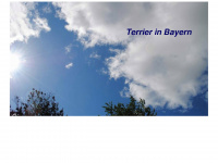 terrierbayern.de Thumbnail