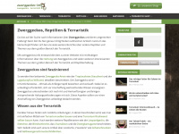 zwerggeckos.info Webseite Vorschau