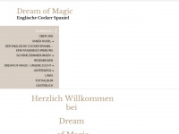 dreamofmagic.de Webseite Vorschau