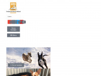 greyhoundsrescue.nl Webseite Vorschau