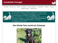 hundehilfe-portugal.org Webseite Vorschau