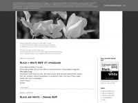 escara-black-and-white.blogspot.com Webseite Vorschau