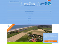 driesprongdomburg.nl Webseite Vorschau