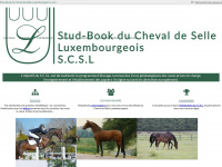 studbook.lu Webseite Vorschau