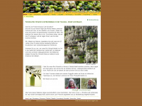 bio-olivenoel.net Webseite Vorschau