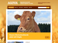 agova.de Webseite Vorschau