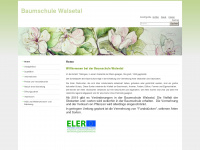 baumschule-walsetal.de Webseite Vorschau