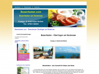 basenfasten.com Webseite Vorschau