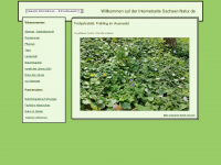 sachsen-natur.de Webseite Vorschau