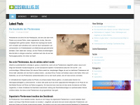 cosibullig.de Webseite Vorschau