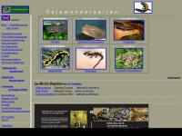 salamanderseiten.de Webseite Vorschau