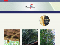 macawbankjunglelodge.com Webseite Vorschau