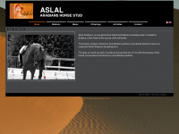 aslal-arabians.com Webseite Vorschau