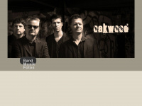 oakwood-music.de Webseite Vorschau