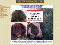 kuenstliche-huefte-hunde.de Webseite Vorschau