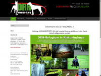 dobermann-rescue-hungary.com Webseite Vorschau