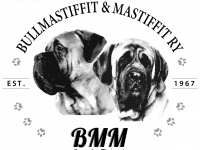 mastiffit.com