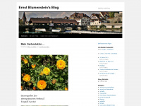ernstblumenstein.wordpress.com Webseite Vorschau