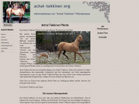 achal-tekkiner.org Webseite Vorschau