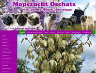 mopszucht-oschatz.de Webseite Vorschau