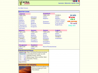 cactus2000.net Webseite Vorschau