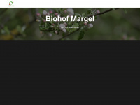 margel.ch Webseite Vorschau