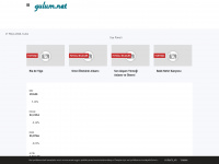 gulum.net Webseite Vorschau