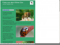 zoo-foto-koeln.de Webseite Vorschau