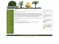 piante-finte.com Webseite Vorschau