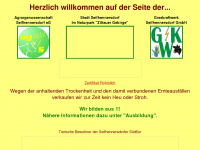 graskraftwerk-seifhennersdorf.de Webseite Vorschau