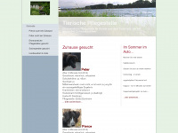 tierische-pflegestelle.de Webseite Vorschau