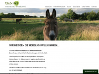 lindenhof-foehr.de Webseite Vorschau