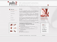 pulls2.de Webseite Vorschau