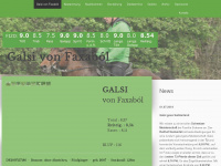 galsi.de Webseite Vorschau