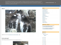 pinguinkamera-antarktis.blogspot.com