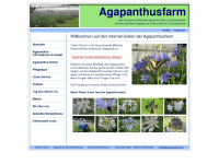 agapanthusfarm.de Webseite Vorschau