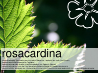 rosacardina.ch Webseite Vorschau