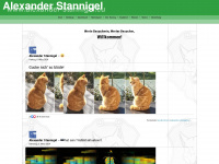 alexander-stannigel.eu Webseite Vorschau