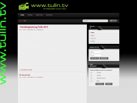 tulln.tv Webseite Vorschau