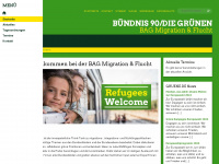 Gruene-bag-migration.de