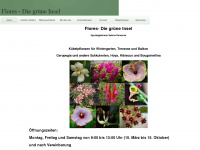flores-reinecke.de Webseite Vorschau