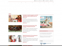 ferdinand-braun-schule.de Webseite Vorschau