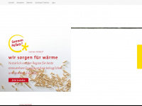 schellinger-kg.de Webseite Vorschau
