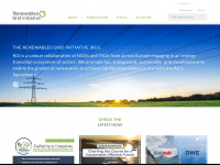 renewables-grid.eu Webseite Vorschau